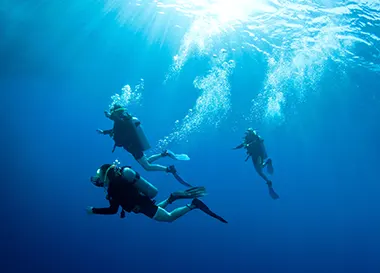 Plongée sous-marine